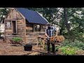 🏚️🌱 Building a Log Cabin out of Crap (Pallets) ❗ OffGrid Cabin & Permaculture Series❗  | 🎬 EP 1