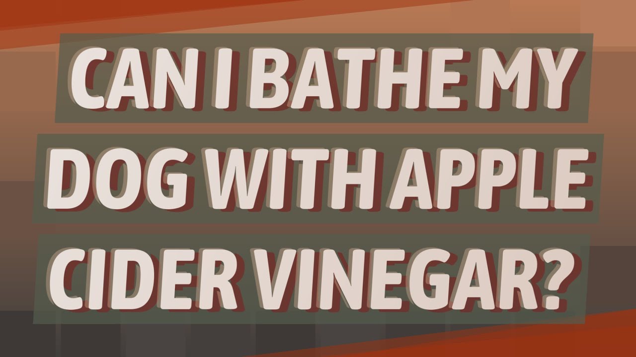 Can I Bathe My Dog With Apple Cider Vinegar YouTube can-i-bathe-my-dog-with-apple-cider-vinegar-youtube