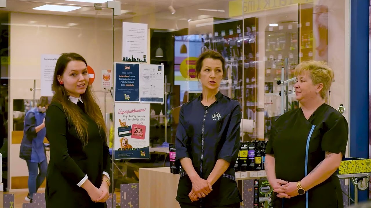 PetCity Akadeemia: Lemmikute igapäevane hügieen ja hooldus