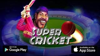 Super Cricket T20 - Be ready to be Amazed screenshot 4