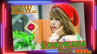 jay sewa jay sewa New CG Gondwana seepd song 2022{Dj.kartik.malthariya}