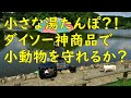 小さな湯たんぽ（小動物用床暖房）