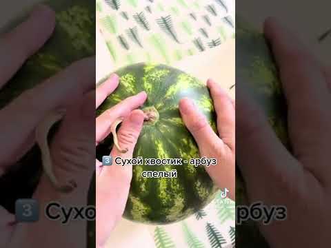 5 признаков сделано арбуза