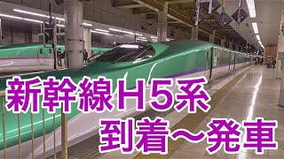 【H5系+E6系】はやぶさ24号 こまち24号東京行きを東北新幹線上野駅で撮影