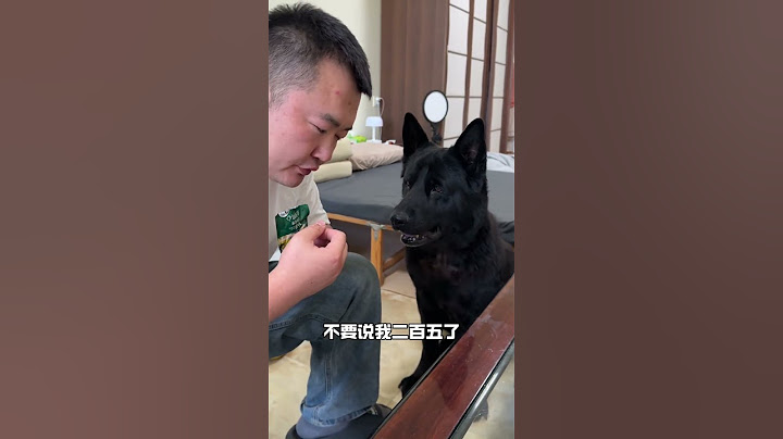 教小狗喊爸爸教程，拿走不谢#克瑞娜的生活日记 #万物可爱计划 #狗狗成精了