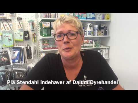 Video: Udbrud Af Dyrehandel Hvalpe-relateret Infektion Rapporteret I 12 Stater