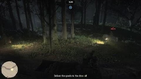 Red Dead Redemption 2 Online goods steal funny moment