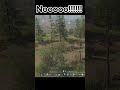 Whole Squad Wiped Men of War 2 Gameplay Whole Squad Wiped Men of War 2 Gameplay