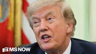 Laurence Tribe: Harvard pushed back against 'buffoon' Trump