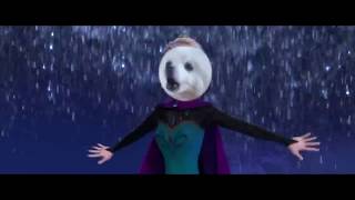 Pies Śpiewa Mam Te Moc