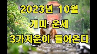 2023년 10월 개띠 운세  삼합에 운을 아는가