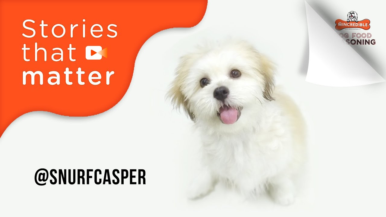 Stories That Matter - SnurfCasper the LhasApso 🐶 – Mincredible 🦴 Dog Food Seasoning