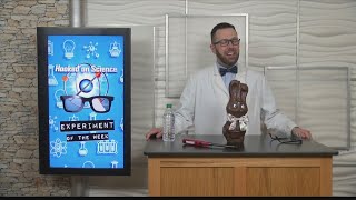 Hooked on Science: Blowing up chocolate bunnies