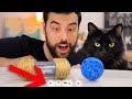 DIY Cat Foraging Toys (and will our cat use them?)