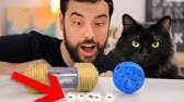 Diy Cactus Cat House A Catcus Youtube