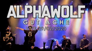 Alpha Wolf - Gut Ache (Live 29/02/2020)