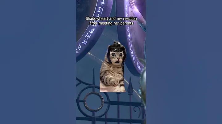 At least there won't be fights with the in-laws?🤷‍♀️ #shadowheart #baldursgate3 #bg3 #catmemes #cat