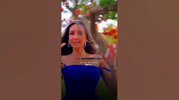 حالات واتساب أغنيه أنا ستهم هنا الزاهد 