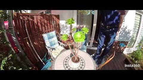 Insta360 One X2: Bullet Time, Slow Motion, Cinematic, 3K, 100fps