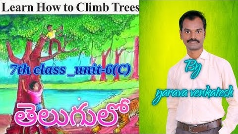 Learn How to Climb Trees - 7th class English lesson
