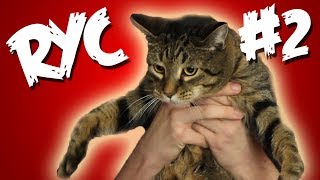 Reading Your Comments#2 (Technically showing but please enjoy)