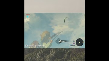The Breath of the wild - Trick shots part 1 #Shorts
