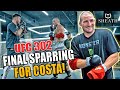 Sean strickland intense fight week sparring session with bellator champ  ufc 302  seanbedded ep 5