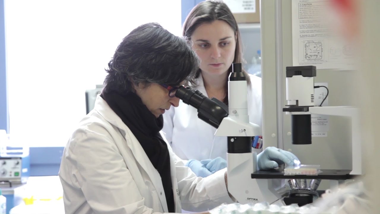 L'immunothérapie à Gustave Roussy