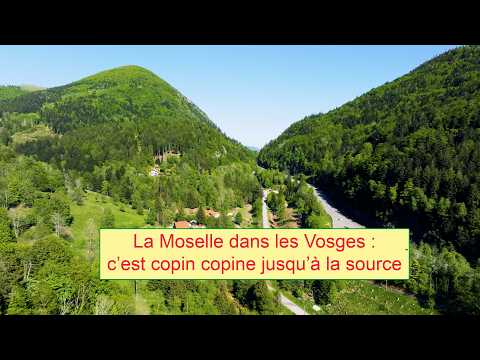 La Moselle dans les Vosges