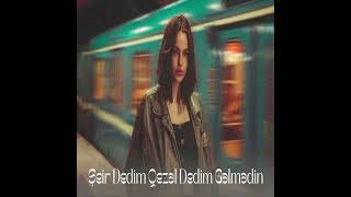 Şeir Dedim Qəzəl Dedim, Gəlmədin Sənə Hamıdan Gözəl Dedim, Gəlmədin.