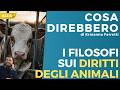 Cosa direbbero i filosofi sui diritti degli animali