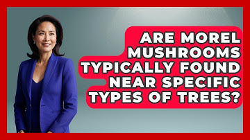 Are Morel Mushrooms Typically Found Near Specific Types Of Trees? - Exploring Campgrounds