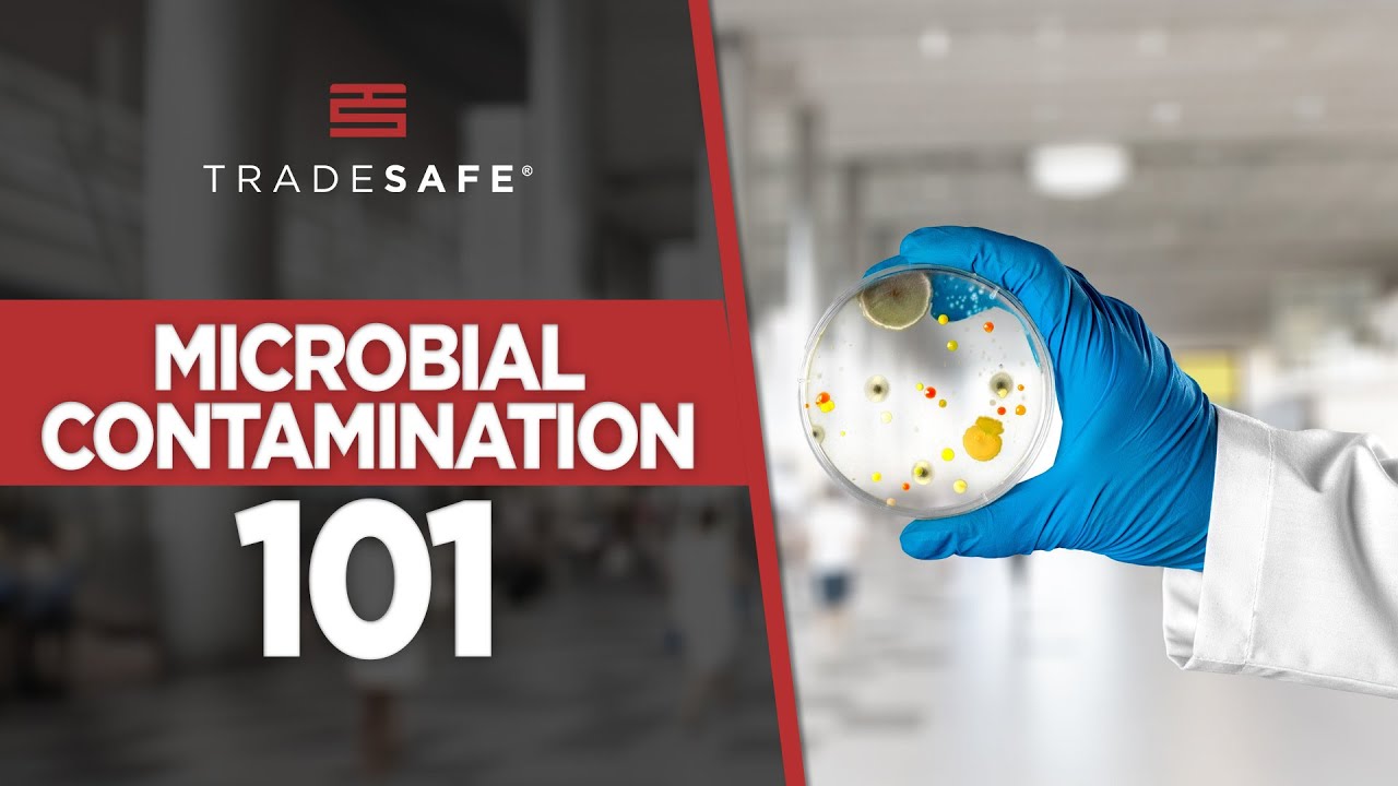 What Is Microbial Contamination? Types & Prevention