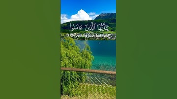 قرآن كريم بصوت القارئ محمد الفقيه              #محمد_الفقيه #قران_كريم #اكسبلور #قرآن #quran