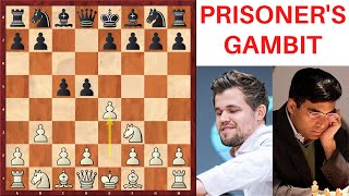 Prisoner's Gambit by Magnus Carlsen | Chess opening trick vs Anand