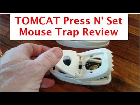 Tomcat Press 'N Set Snap Trap For Mice 2-Pack.