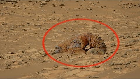 Unseen Mars Surface in 4K | Perseverance Rover’s Journey Through Jezero Crater | New Footage