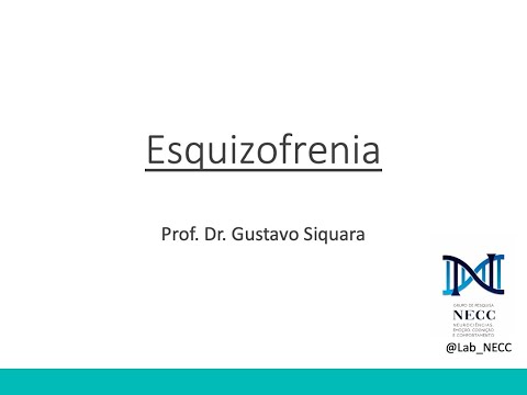 Vídeo: Esquizofrenia E Reelina: Um Modelo Baseado No Estresse Pré-natal Para Estudar Epigenética, Desenvolvimento Cerebral E Comportamento