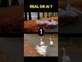 REAL vs. AI: Can You Spot the Fake? 🧐