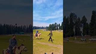 Kashmir Doodhpatri velly #kashmir #jannatkashmir #travel #sd Azeez vlogger #Shorts video #trending