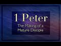 Suffering for Christ vs Fight or Flight