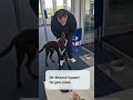Dürfen wir vorstellen: Unser Feelgood-Beauftragter🐶