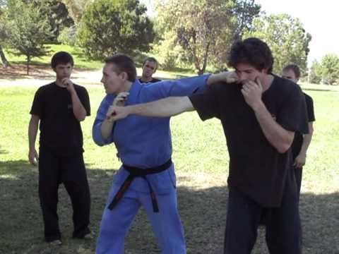 Martial Arts Twisting Jab Sensei Rick Tew