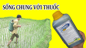 Sống Chung Với Thuốc Trừ Cỏ Và Tác Hại Của Thuốc Trừ Cỏ Đối Với Con Người