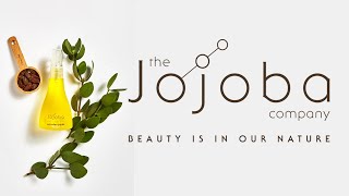 Download Lagu Jojoba Brand Story MP3