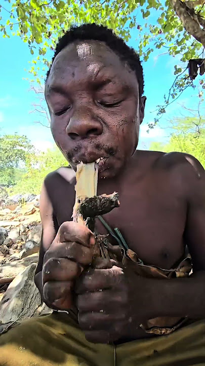 #africa #food #wildlife #cute #animals #eating #funny #duet #colonelkkjϟ #nature