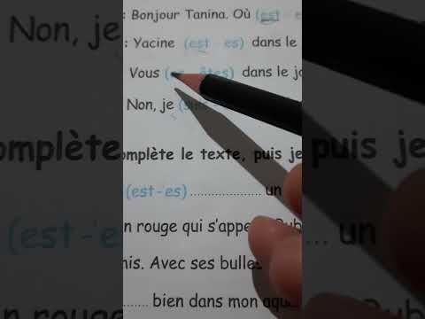 حل تمرين رقم 5 صفحة 25 من كتاب الانشطة سنة الرابعة ابتدائي لغة فرنسية