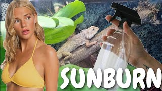 Does Misting Give Sunburn To Reptiles...Tested
