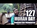 Moran Day 127 - Секвойи Сан-Франциско