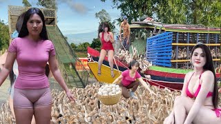 Full: cận cảnh thuyền và xe tải chở hàng chục nghìn con vịt di cư đến vùng đất mới 